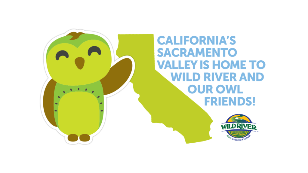 Our Owl Friends and associated kiwi owl logos are trademarks of Wild River Marketing Inc. Designed by Ben Young Landis and Guy Rogers. The banner shows a cartoon owl, which has dark wings and a green belly with spots that mirror the seeds and cross section of a kiwifruit. The owl is pointing to a silhouette of the State of California, and the words "California's Sacramento Valley Is Home to Wild River and Our Owl Friends!"