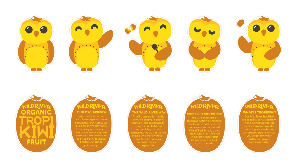 Our Owl Friends and associated kiwi owl logos are trademarks of Wild River Marketing Inc. Designed by Ben Young Landis and Guy Rogers. Character sheets for Wild River's Our Owl Friends. The sheet features gold kiwi owls in standing, waving, scooping, respectful, and playful poses. Addition text in kiwi-shaped backgrounds read: Our Owl Friends: Wild owls live on our Wild River organic farm in special owl-box homes we build for them! They help keep pesky pests away — just one of many ways we work with Mother Nature to bring fresh, delicious kiwifruit to your family! The Wild River Way: As a third generation family farm, we believe in quality, nutrition, and sustainability, using natural fertilizers and avoiding harmful pesticides. We do this for the people who work with us — and for all who enjoy our fresh, delicious, organic fruit! Kiwifruit's Wild History: The wild ancesters of Tropikiwi, Actinidia chinensis, are found in cool, forested mountains and ravines of China! Traditionally called "monkeyfruit" or "vinefruit" in Chinese, more than 40 species of kiwifruits exist in the wild! What is Tropikiwi? Our Wild River Tropikiwi are specially cultivated from wild kiwifruit varieties to produce an even sweeter taste! If you already love our organic green kiwifruit, you've got to try our California-grown Tropikiwis today!